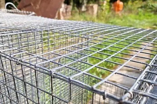 Klatka dla królika, Zachodniopomorskie, Sławno