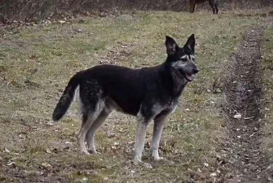 Kocham ludzi i świat marzę aby ktoś pokochał i mnie, Mazowieckie, Warszawa