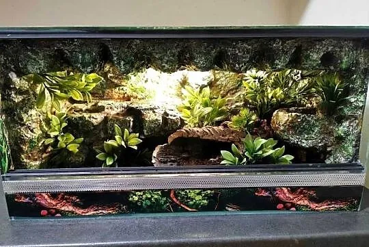 Terrarium 60x30x30 tropikalne dla gekona, Wielkopolskie, Ostrów Wielkopolski