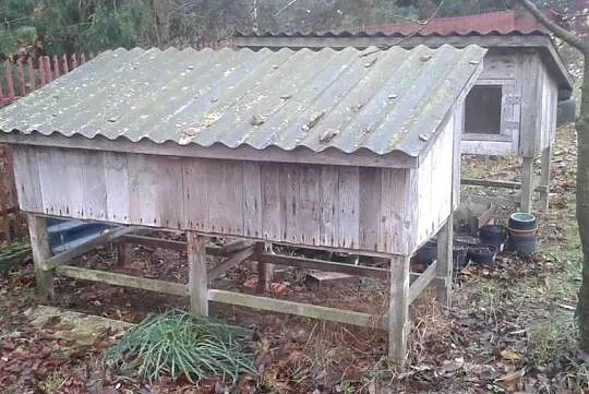 Klatki dla królików, Mazowieckie, Przasnysz