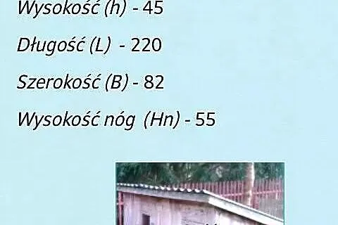 Klatki dla królików, Mazowieckie, Przasnysz