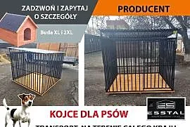 B154 Kojec dla Psa 2x2 , Kojce | Dowolne Wymiary | DLA PSA | - ESSTAL
