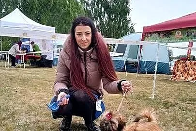 Shih Tzu suczka dziewczynka szczeniak piękna, Opolskie, Kluczbork