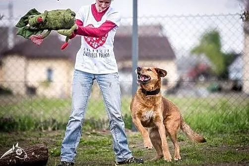LEJLA urzeknie Cię swoim charakterem,  dolnośląski