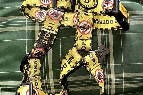 Szelki dla psa stop nie dotykaj