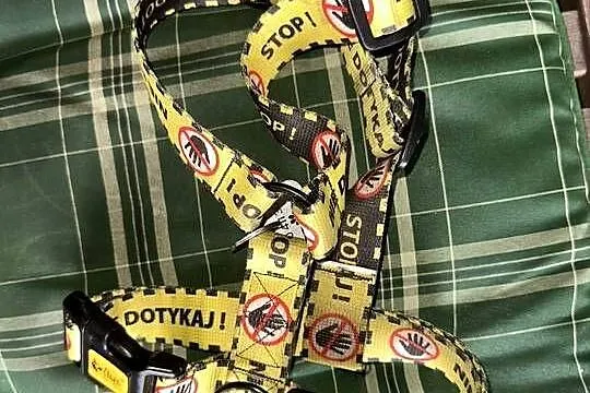 Szelki dla psa stop nie dotykaj, Mazowieckie, Warszawa