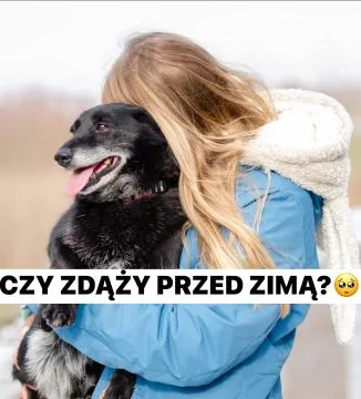Nieduży Patyk, wesoły, pełen energii psiak!  Jeden z najmniejszych psiaków w naszym schronisku - czy, , Warszawa