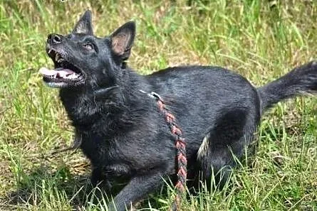 Czy znajdzie się dla Gruszki kącik między szafką a