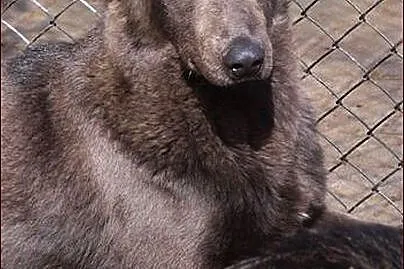 Kacper :) Prawdziwe zjawisko! :)