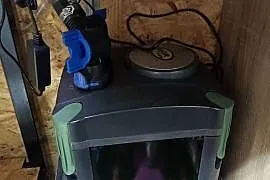Akwarium plus rybki i pompy