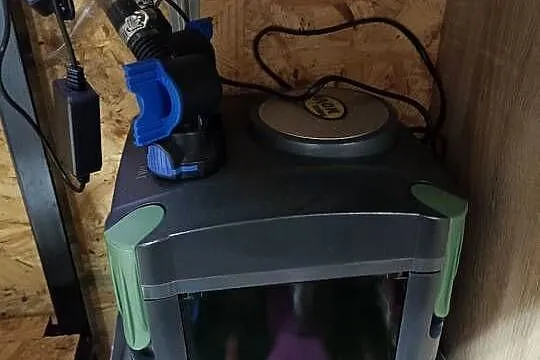 Akwarium plus rybki i pompy