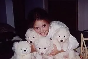 Czystej krwi Szczeniaki Samoyed (do przyjecia)
