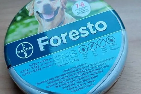 FORESTO; Obroża dla kota i psa poniżej 8kg, Mazowieckie, Warszawa