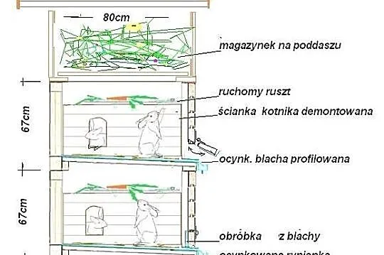 klatka dla królików, Łódzkie, Ruda