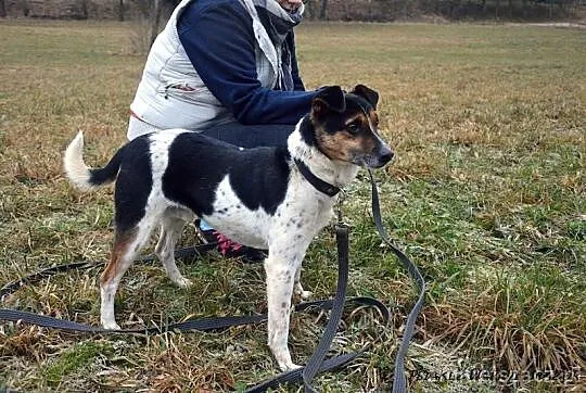 W jednej chwili stracił wszystko_Brytan znowu czek
