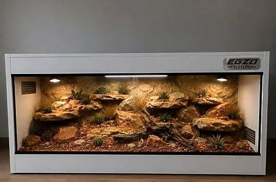 Terrarium specjalistyczne dla agamy brodatej gekona lamparciego