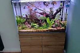 Akwarium Nowe