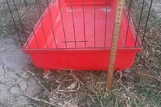 sprzedam klatke na chomika, Świętokrzyskie, Skarżysko-Kamienna