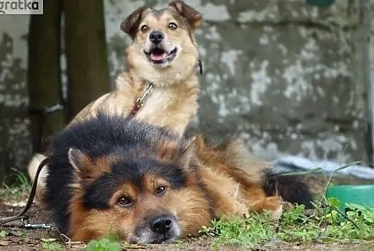 Pokochaj Nas daj Nam cudowny domek o jakim marzymy