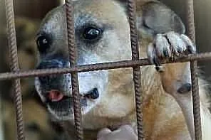 Tedi -Adoptuj-Pokochaj-Ocal od zapomnienia