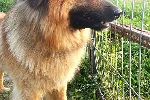 Szukam domu, z którego już nikt mnie nie wyrzuci..