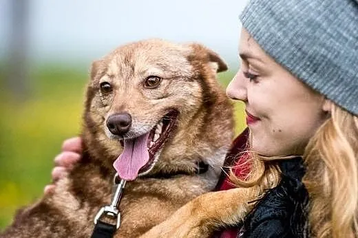 NOVA  - rudoliskowata Nova na harce i swawole goto
