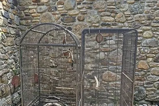 Klatka. Klatki dla ptaków, Śląskie, Wilamowice