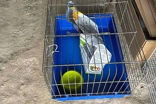 Klatka dla królika świnki morskiej gryzonia fretki szczura, Śląskie, Będzin