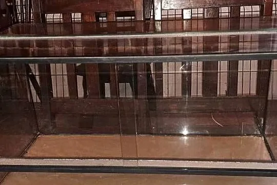 Terrarium 80x40x40