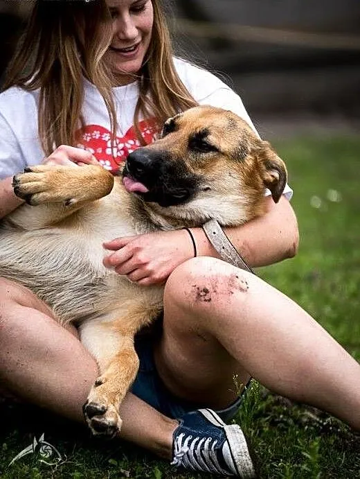 HENIA będzie Twoim przyjacielem! pokochaj ją! adop