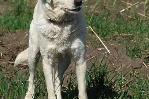 Bezkonfliktowa, rozdająca buziaki Bianka, nieduża 