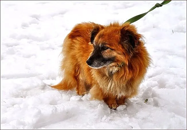 Mały, kochany Asik :)