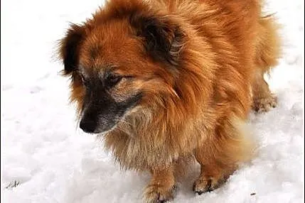 Mały, kochany Asik :)