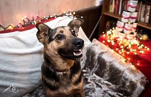 Piękny FILIP- pokocha Cię na zawsze!, mazowieckie