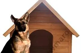 Duża ocieplona buda dla psa, legowisko, labrador, husku,owcz