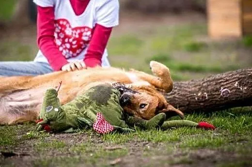 LEJLA - u aktywnych ludzi radość życia obudzi!,  m