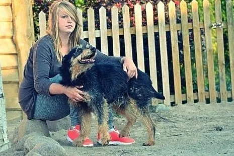 Baks.Uroczy sierściuch ciągle czeka na swoją szans