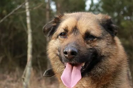 Vito.Nigdy nie wyjawiaj,co myślisz...