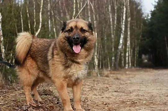 Vito.Nigdy nie wyjawiaj,co myślisz...