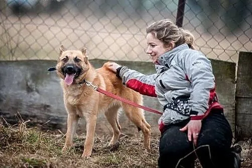 Spójrz na tego przystojniaka i pokochaj,  lubelski