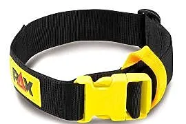 Obroża Regulowana Dla Psa - PAX Dog Collar