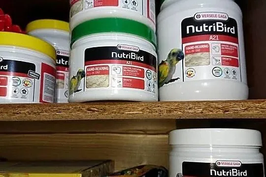 Versele laga Nutri Bird A21 do ręcznego karmienia 800g, Mazowieckie, Warka