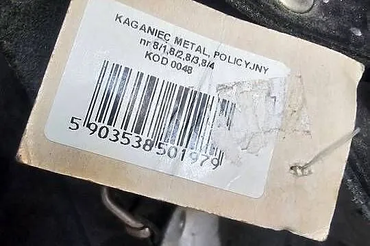 Kaganiec dla psa, Śląskie, Częstochowa