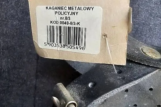 Kaganiec dla psa, Śląskie, Częstochowa