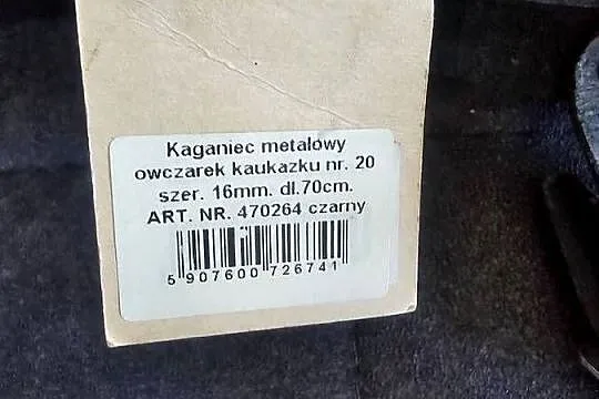 Kaganiec dla psa, Śląskie, Częstochowa