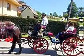 Sprzedam bryczke konna