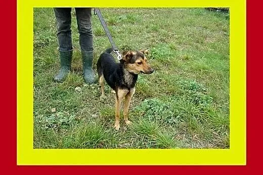 Mała,delikatnej budowy,przytulaśna,sympatyczna,suc