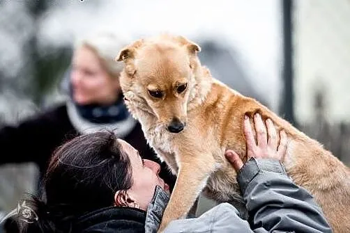 Balbina młoda dziewczynka szuka domu,  śląskie Kat