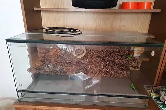 TERARIUM