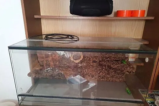 TERARIUM, Małopolskie, Bochnia